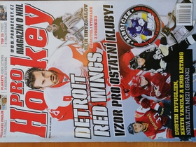 Pro Hockey: Detroit Red Wings - Vzor pro ostatní kluby
