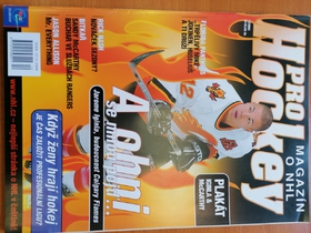 Pro Hockey: Jerome Iginla - Budoucnost Calgary Flames (12/2002)