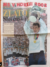 Zlato Slovensku - MS v hokeji 2002 vo výsledkoch