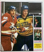 Stadión: Kanadský pohár doznívá a hokej vstupuje (37/1981)